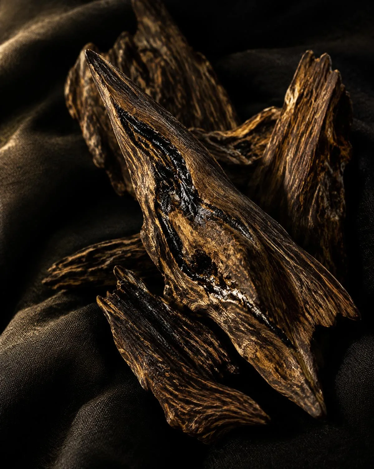 Dark resin-rich agarwood chips arranged on black fabric